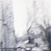 Landscapes From Her Life