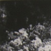Landscapes From Her Life