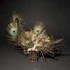 2011 Derby Collection: Comb