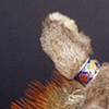 Rabbit Foot Comb