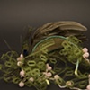2011 Derby Collection: Fascinator