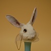 Rabbit Chapeau