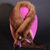 Mink Stole