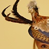 Wide Brim Hen Hat