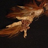 Pheasant Claw Brooch
