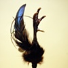Rooster Hair Sticks