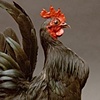 Black Serama Rooster mounted on a horse hoof.