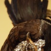 Rooster Headpiece