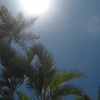 Paradise