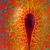 Orange Yoni