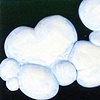 Material Dreams