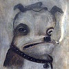 Scrappy Misfit