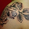 Rose2