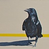 The Division Line, Tribute to Wanda Koop