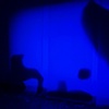 Blue Noise Video