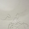 Trace