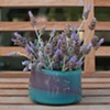 Lavender Bowl