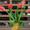 Yellow Vase