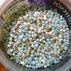 "Alpine Bracelet" palette