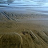 Newport Beach Textures