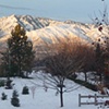 Winter Morning