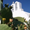 "Beautiful Santorini Cactus and Church"