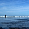 Walk on the Beach
