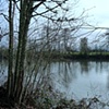 The Willamette River 