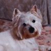 "Sophie"