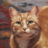 "Dexter"