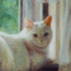 "Dolly"