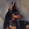 "Heidi"