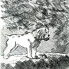 "Paws" sketch #3