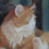 "Lester II"
