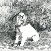 "Paws" sketch #2
