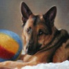 "Huxley"