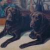 "Charlie and Tanker"