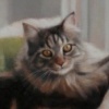 "Clawdia"