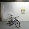 Installation Shot 