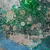 Nova (detail)