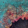 Cluster IV