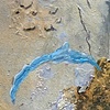 Zig Zag Turquoise