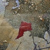 Zig Zag Red