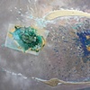 Ellipse
