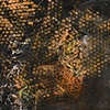 Quanta