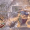 Four Vessels