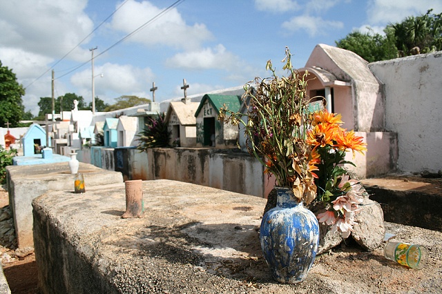 Rotting Flowers in Urn