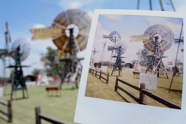 polaroid shattuck windmill oklahoma