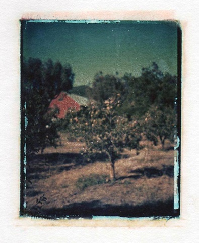 polaroid transfer oak hill farm