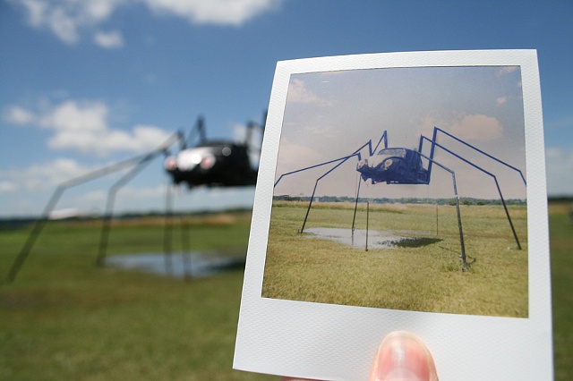 polaroid spider bug oklahoma